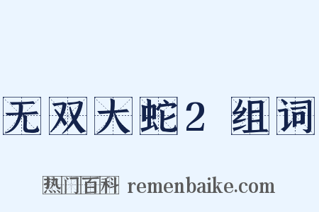 无双大蛇2组词是什么意思的图片